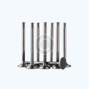 Intake valves