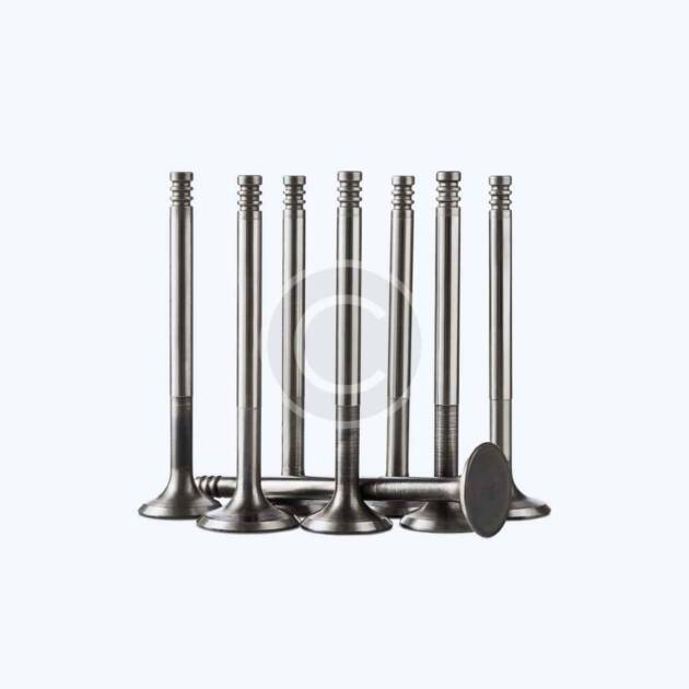 Intake valves